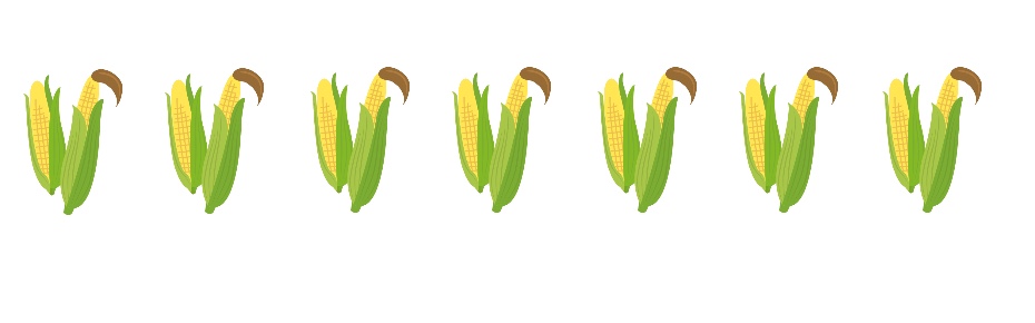 八百屋のやさい料理