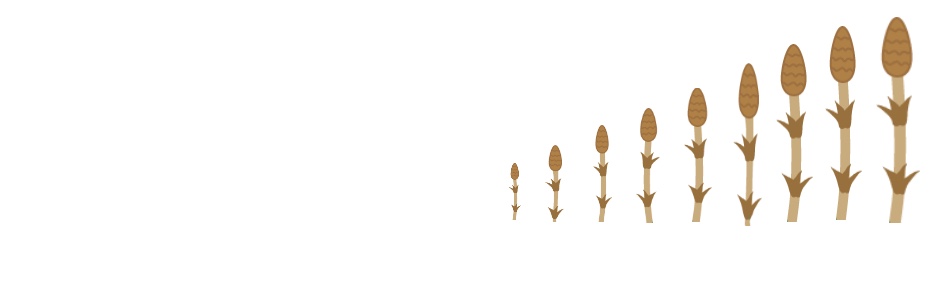 内田悟の八百屋のやさいごはん