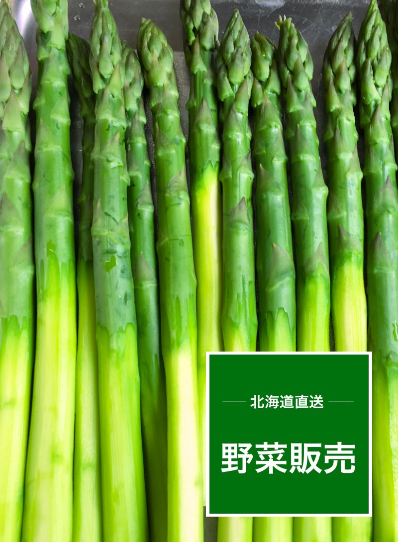 夏野菜